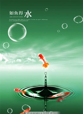 企業文化如魚得水 廣告設計讓您的團隊游刃有余