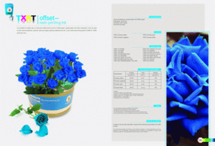 免費下載七彩風格畫冊模板PSD素材 包裝印刷廣告設計必備資源